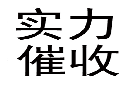 法院判决赌债还款，应对策略详解